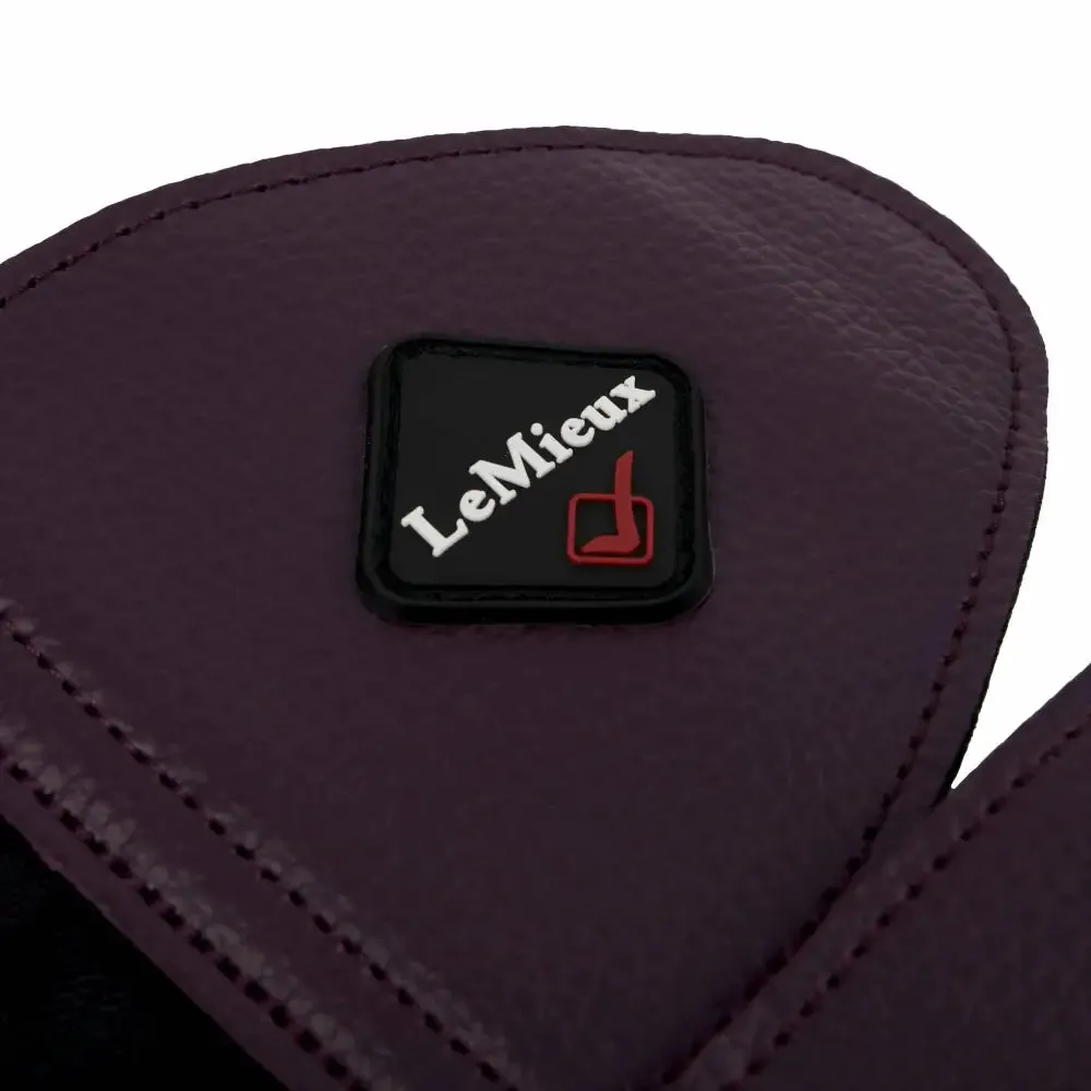 LeMieux Fleece Lined Brushing Boots Fig