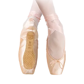 Nikolay Grishko Nova Pointe Shoe