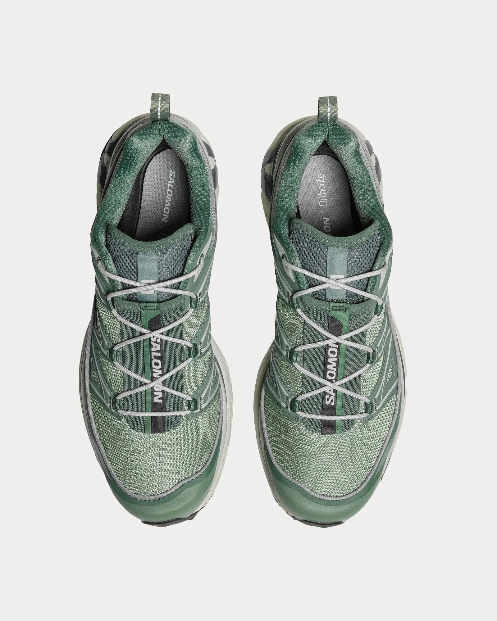 XT-6 Expanse Lily Pad / Laurel Wreath / Pewter Low Top Sneakers