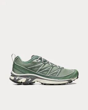 XT-6 Expanse Lily Pad / Laurel Wreath / Pewter Low Top Sneakers